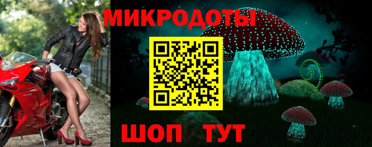 Псилоцибиновые грибы мицелий Новоалтайск