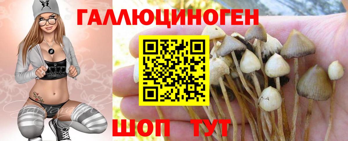 Новоалтайск  Псилоцибиновые грибы мухоморы  Вход с VPN  Галлюциногенные грибы MAGIC MUSHROOMS 